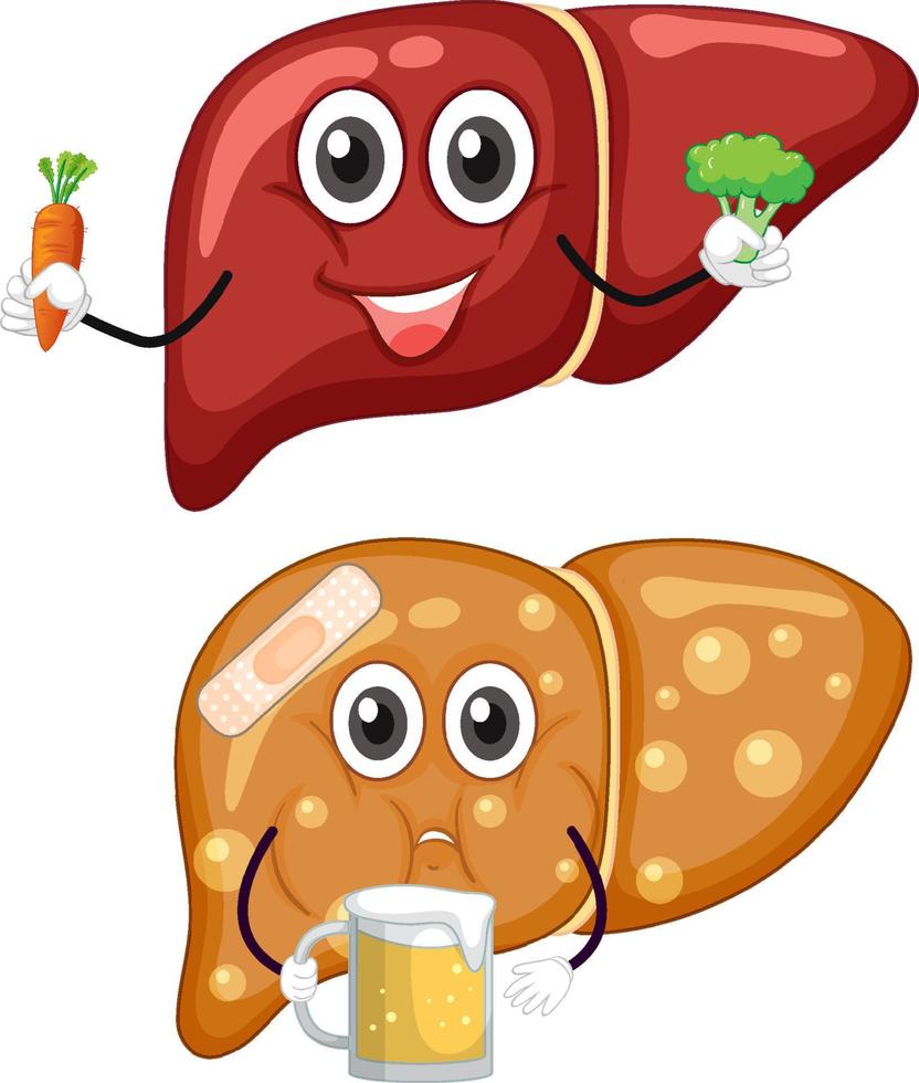 NUTRITION RECOMMENDATIONS FOR FATTY LIVER